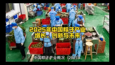 ��2025���й����ӹ�ҵ��������������δ����@��ʳ��չó����ƽ̨