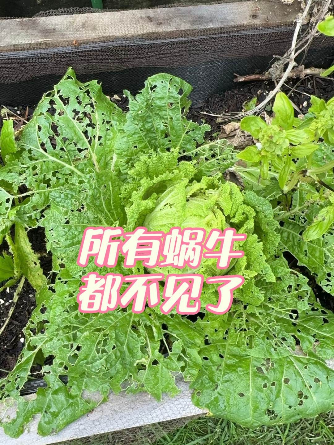 https://static.ixuenong.com/pxn/uploads/prod/thirdfile/2025/05/5315015f6d29d462522bc245b8909a6e.jpg