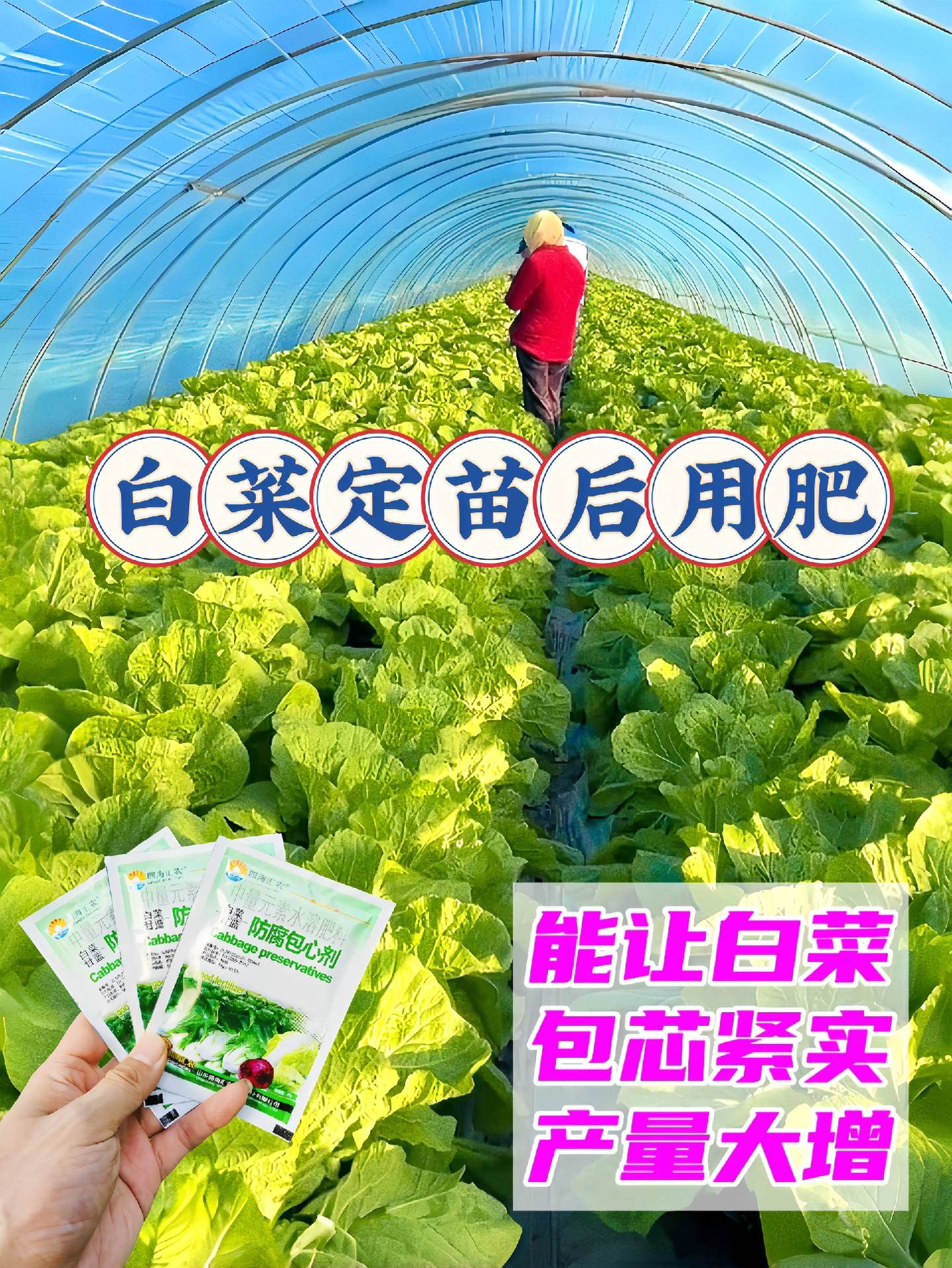https://static.ixuenong.com/pxn/uploads/prod/thirdfile/2025/05/598340c92c18aa49247814e11ab82019.jpg