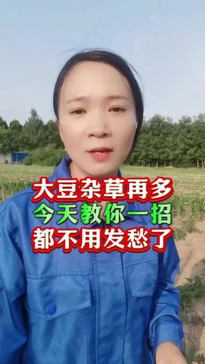 大豆杂草再多  今天教你一招 都不用发愁了 #大豆除草剂 #大豆苗后除草剂 #大豆种植 #分享农业知识帮农民增产增收 #今日三农爆款