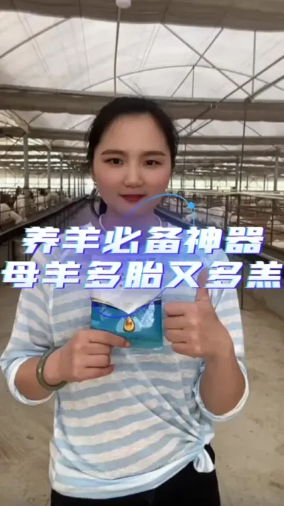鱼肝油#鱼肝油喂羊 #养羊人 #养羊技术 #养羊技术分享