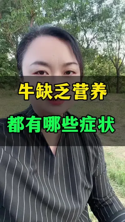 牛缺乏维生素，都有哪些了症状#养殖户 #科学喂养 #繁殖母牛 #肉牛养殖