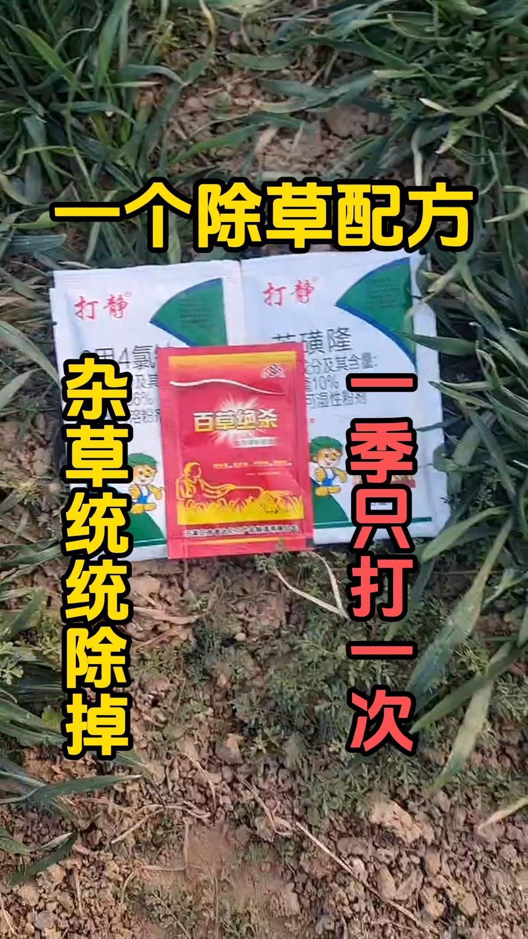 https://static.ixuenong.com/pxn/uploads/prod/thirdfile/2025/05/61f1f64a23f1565701e145f757a05beb.jpg