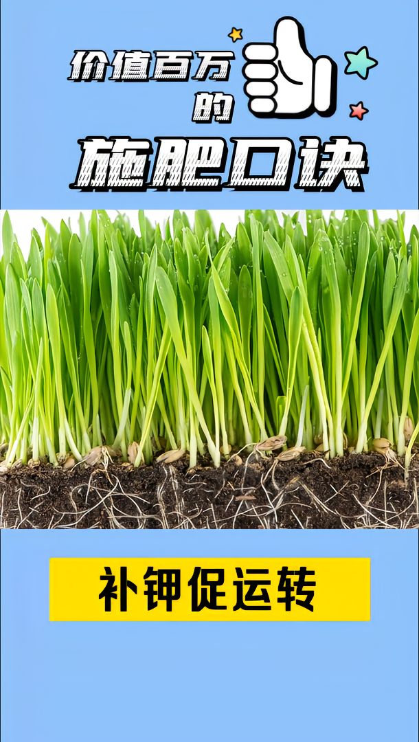 https://static.ixuenong.com/pxn/uploads/prod/thirdfile/2025/05/62b4ee12d2ca91bdab3c1a2854250f47.jpg