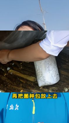 https://static.ixuenong.com/pxn/uploads/prod/thirdfile/2025/05/63bf5a7a3c0fa84ef7c51aa4bab78e3a.jpg