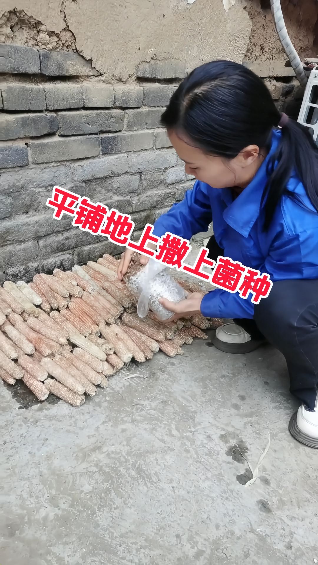 https://static.ixuenong.com/pxn/uploads/prod/thirdfile/2025/05/6407001da1d9a43bd60860482c09bccf.jpg