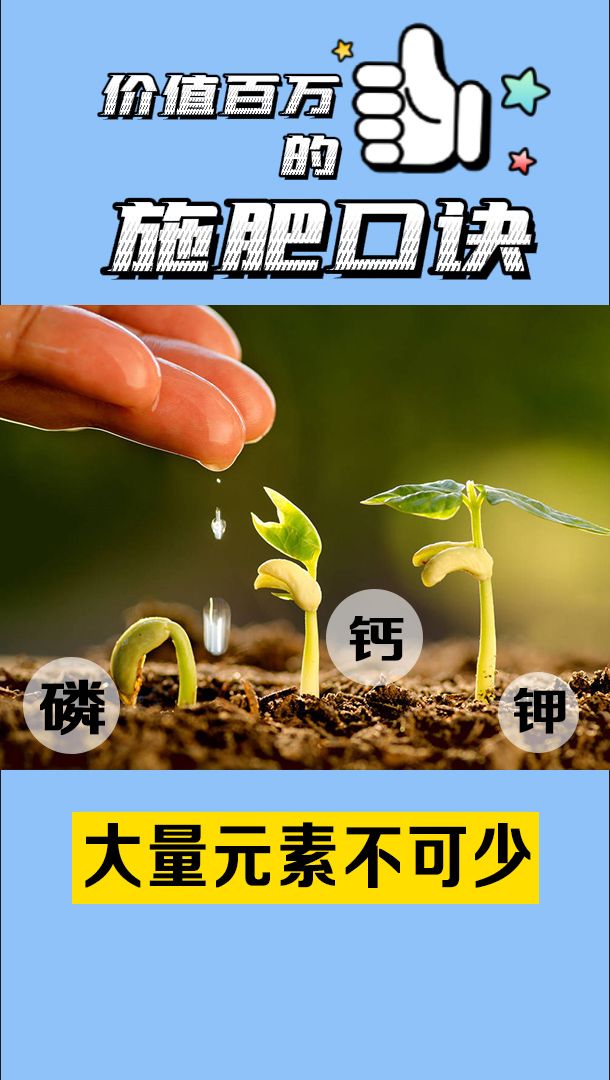 https://static.ixuenong.com/pxn/uploads/prod/thirdfile/2025/05/641ec826ce0f17d9b61bbab1238250bf.jpg