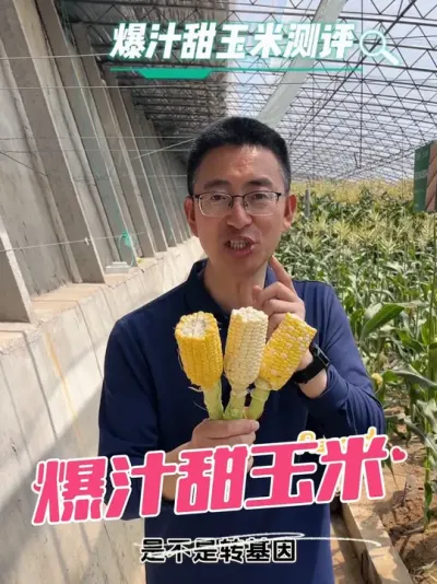 ��֭��������ˮ�������� Ʒ����Ҫ�����óԡ������ߡ����Ժ�#��ũ #��ũݪֲ #�˲��� @ʥ��˹����