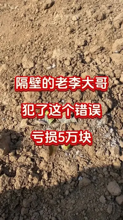 种红薯犯了这个错误一季全白干#红薯种植#红薯移栽#红薯蘸根 #红薯高产#红薯大丰收