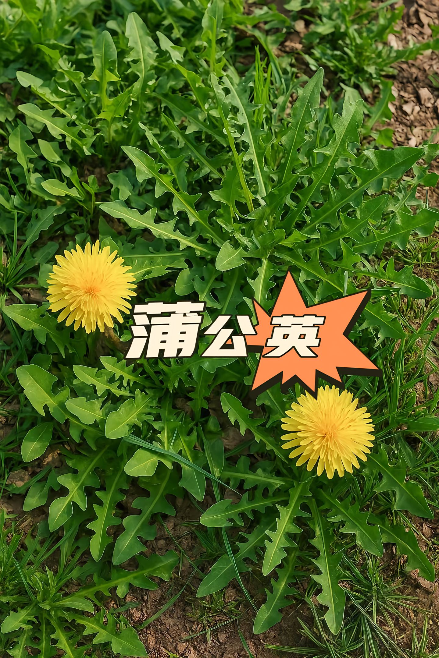 https://static.ixuenong.com/pxn/uploads/prod/thirdfile/2025/05/6924bcf237f0081b67e6d7077ea2d687.jpg