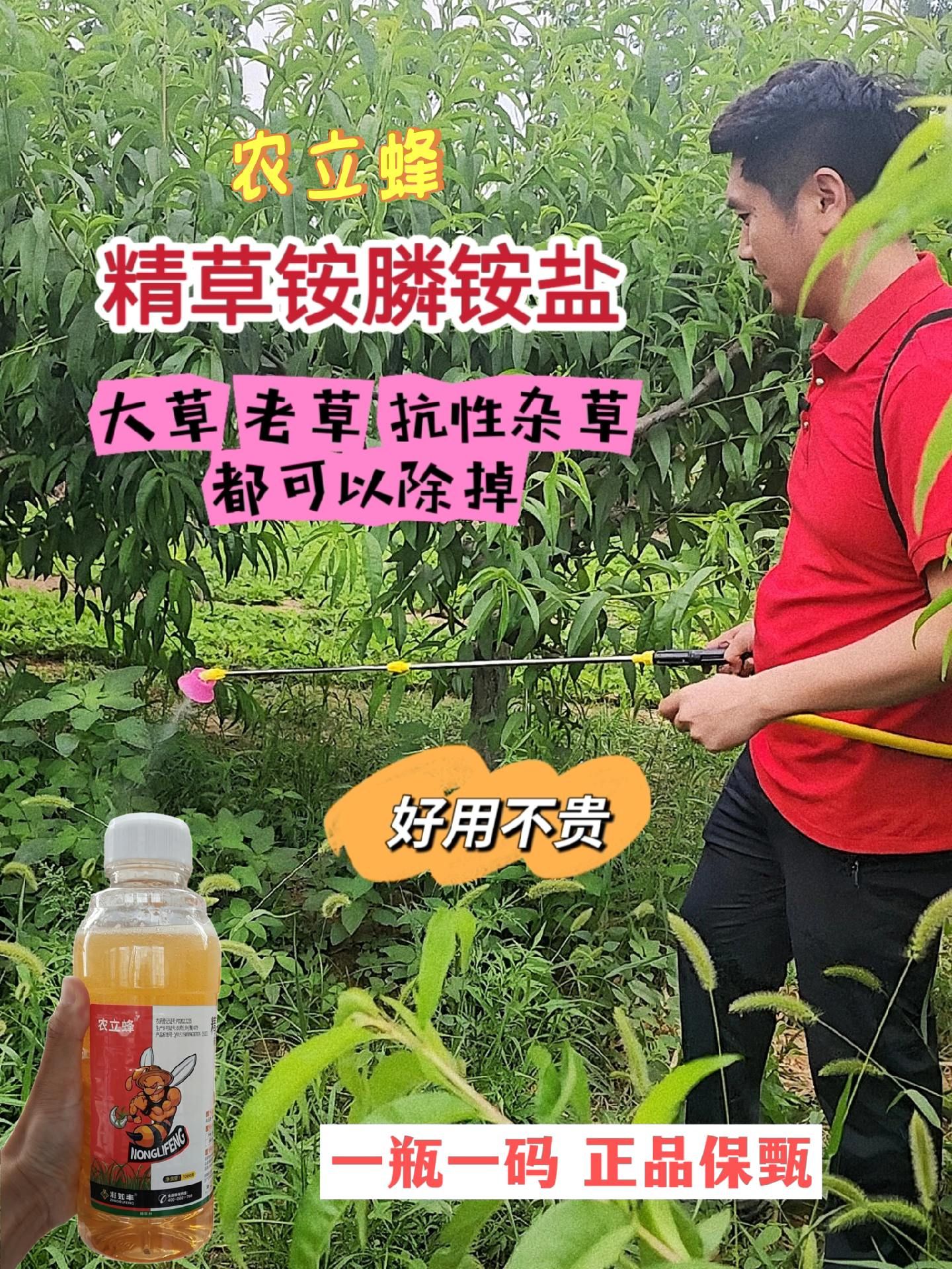 https://static.ixuenong.com/pxn/uploads/prod/thirdfile/2025/05/698d6a6a13afc1ac7c635c59fc830aba.jpg