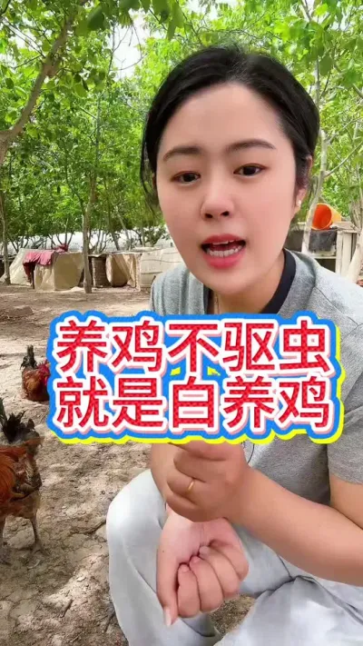 #科学养鸡 #鸡鸭鹅养殖 #养鸡人 #抖音养鸡人 #散养土鸡