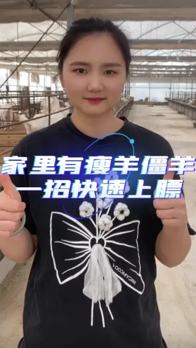 解僵催肥促长#养羊技术分享 #养羊创业 #僵羊 #僵羊催肥