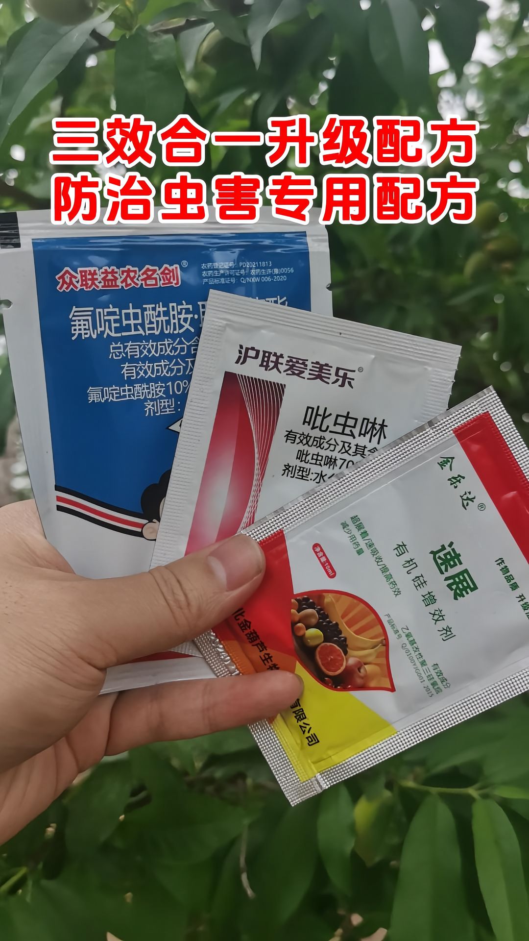 https://static.ixuenong.com/pxn/uploads/prod/thirdfile/2025/05/6ded0fb53174fe1a5a3fa127be988f70.jpg