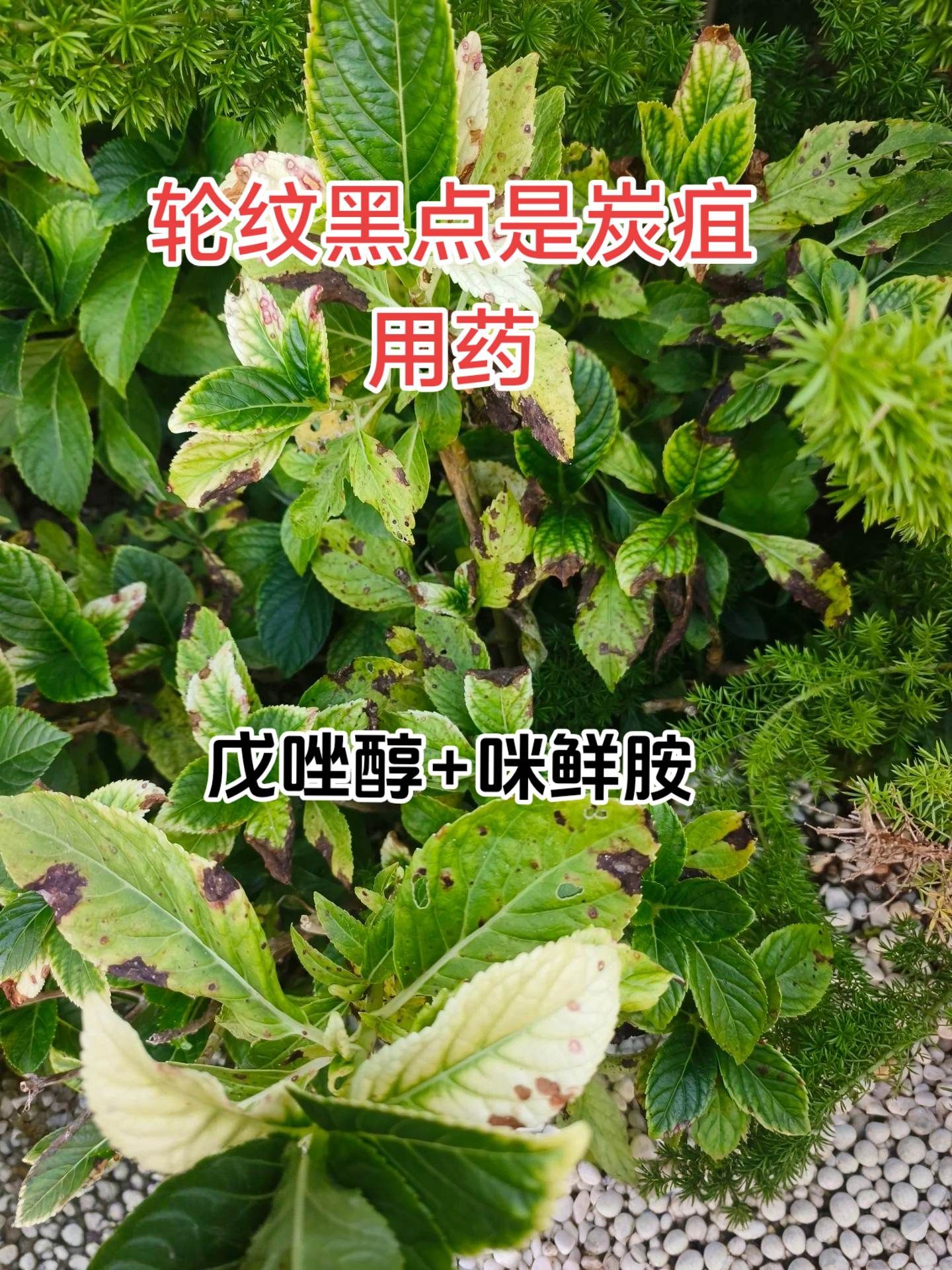 https://static.ixuenong.com/pxn/uploads/prod/thirdfile/2025/05/6f67f0449d76fa44864dc0a6af7797ba.jpg
