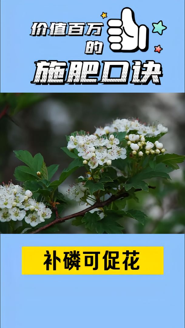 https://static.ixuenong.com/pxn/uploads/prod/thirdfile/2025/05/6fff60cfaefd3a7cab46def28cfce6de.jpg