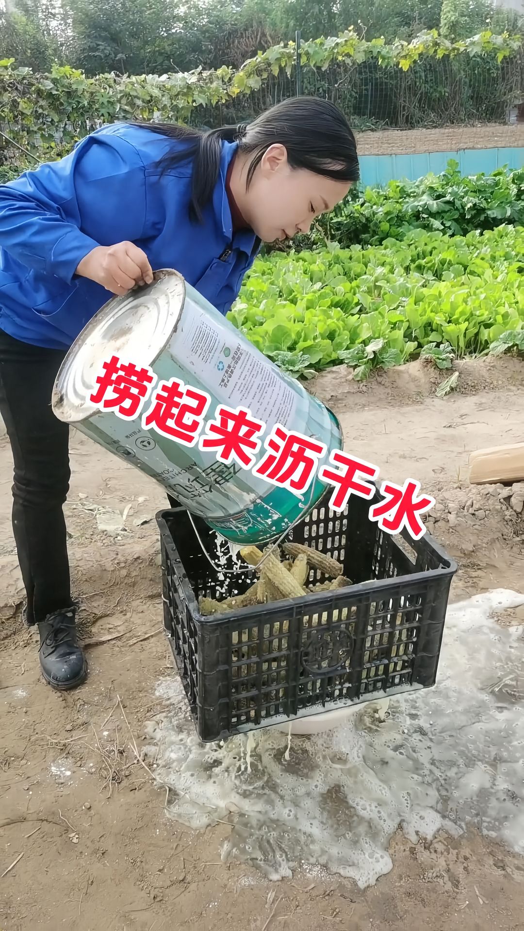 https://static.ixuenong.com/pxn/uploads/prod/thirdfile/2025/05/7018cffd2f1b7e71d29d3d70c099efb5.jpg