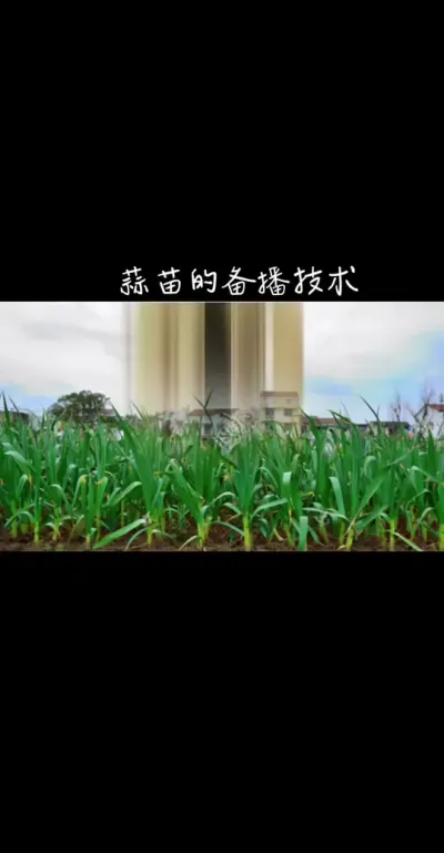 ĳ߲ݪֲ#ũҵ֪ʶũ #֧ũũ #רҵ齻רҵȥ #2024ũ #ũ