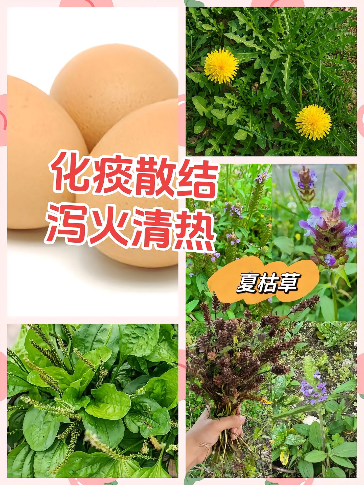 https://static.ixuenong.com/pxn/uploads/prod/thirdfile/2025/05/746e1f9f45be9820b7337b1769383f54.jpg