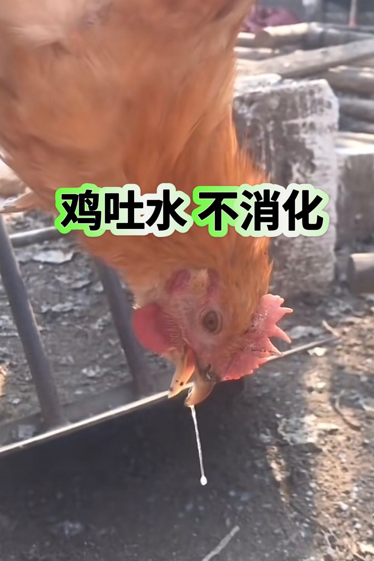 https://static.ixuenong.com/pxn/uploads/prod/thirdfile/2025/05/74f787f28c3d7fc1d0cfdbeb64533771.jpg