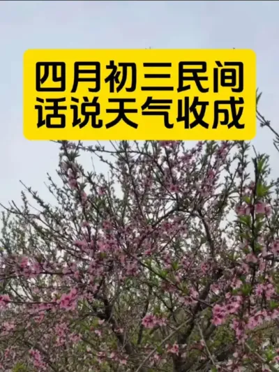 四月初三民间老话说天气收成#服务三农支持三农 #抖音助农扶农 #三农种植 #新农人计划 #今日三农爆款文案