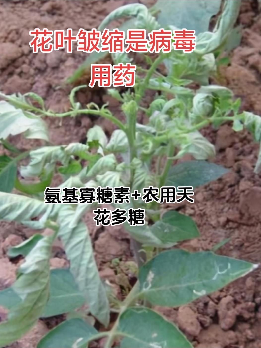 https://static.ixuenong.com/pxn/uploads/prod/thirdfile/2025/05/78eda0262a4c983241100fa9461b9486.jpg