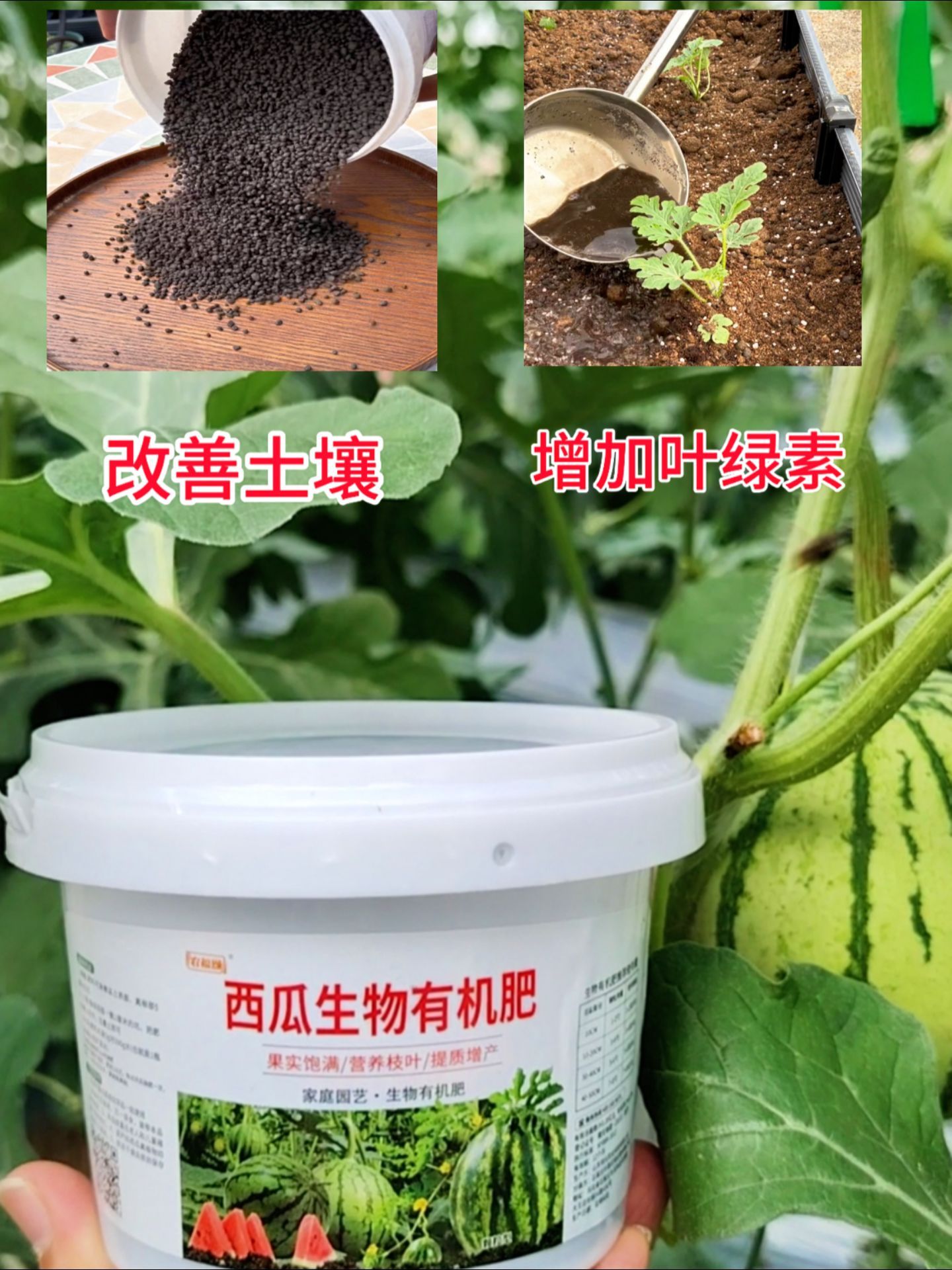 https://static.ixuenong.com/pxn/uploads/prod/thirdfile/2025/05/7953c0758e2908d912d105429846e5aa.jpg