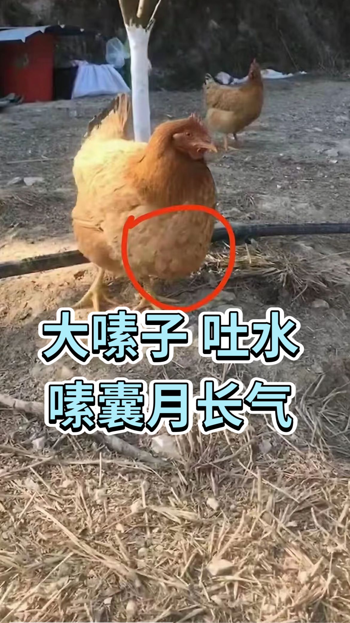 https://static.ixuenong.com/pxn/uploads/prod/thirdfile/2025/05/7c55ab054681ac234c2bc0ac0e2768ff.jpg