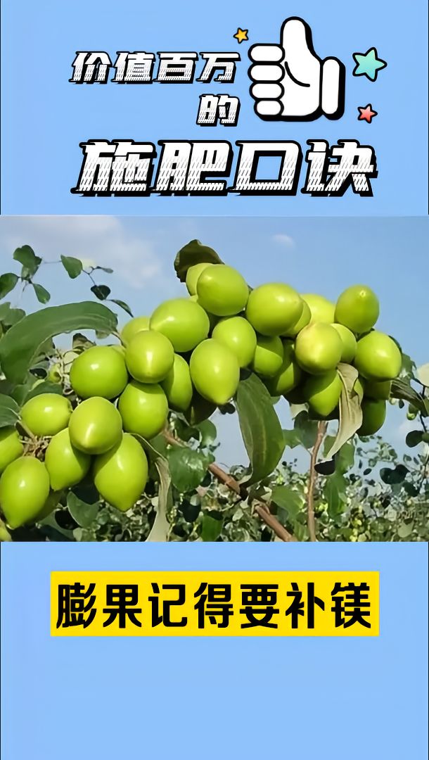 https://static.ixuenong.com/pxn/uploads/prod/thirdfile/2025/05/7d7a73623135cfcd6879d6efc00ccdf9.jpg