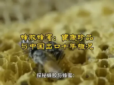 #佺ۣƷйʮſ@ʳչóƽ̨