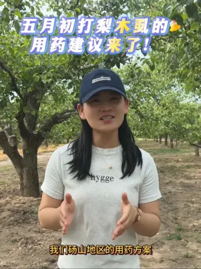 五月初的用药方案来了 粉丝朋友们注意查收。#来抖音学农技 #梨树#果树管理 #梨木虱 #三农服务