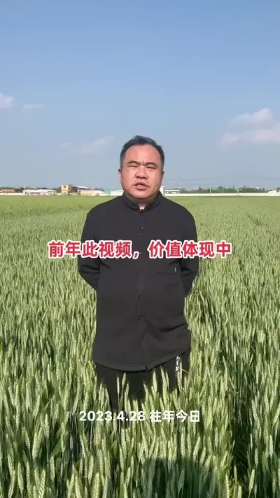 二年实践已经证明，袁氏德善有机多素肥，是防干热风的上佳品！