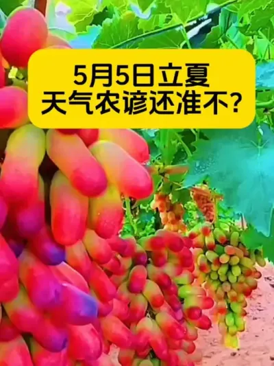 ũ���ϻ�#��ũС֪ʶ #ũҵֲ��֪ʶ���� #��ũ�����İ�