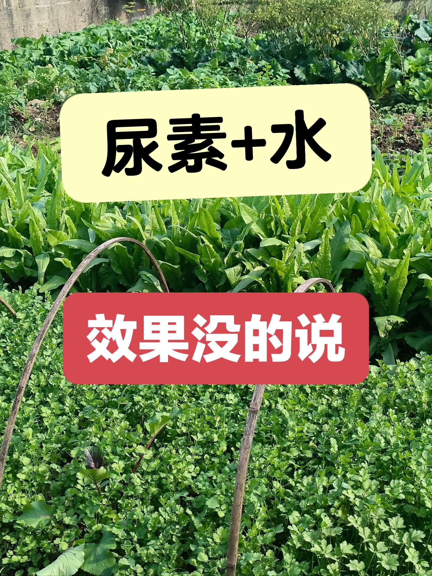 https://static.ixuenong.com/pxn/uploads/prod/thirdfile/2025/05/8168b7de7fb5baedcaf919dec21951e1.jpg