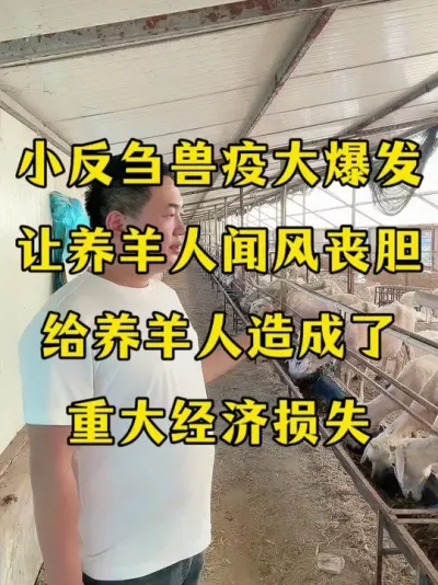 Сۻ߱ Σ̫ #Сۻ   #Сۻ   #ţֳ   #ֳ