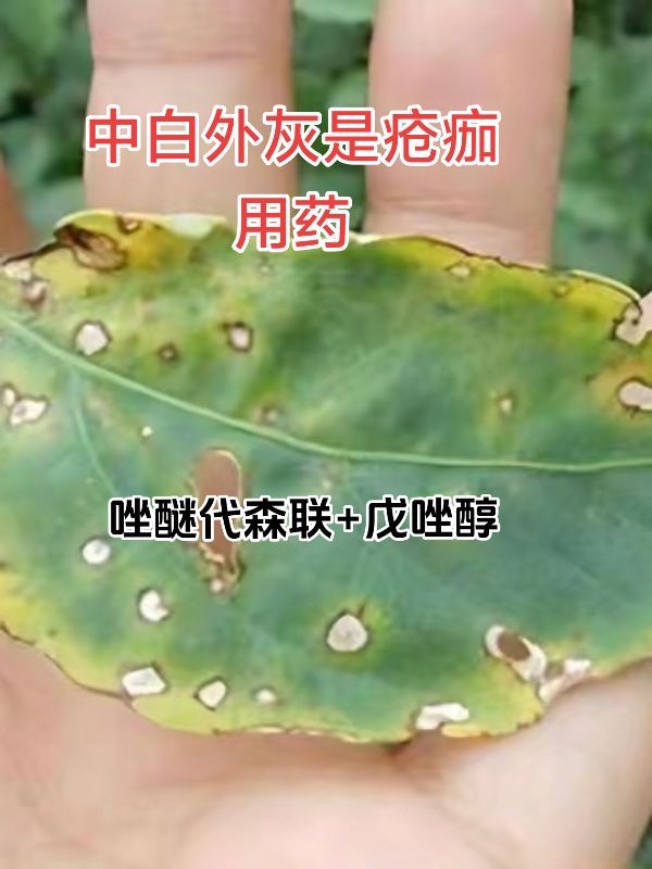 https://static.ixuenong.com/pxn/uploads/prod/thirdfile/2025/05/849201bf91d8d2377f36d92b6ffeb99f.jpg