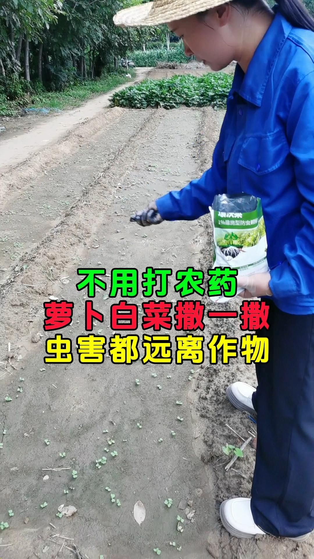 https://static.ixuenong.com/pxn/uploads/prod/thirdfile/2025/05/84c7437708b7c10edbff7c5c850cc77b.jpg