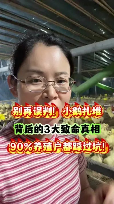 УСѱ390%ֳȹӣ#켼 # # #ʨͷ #