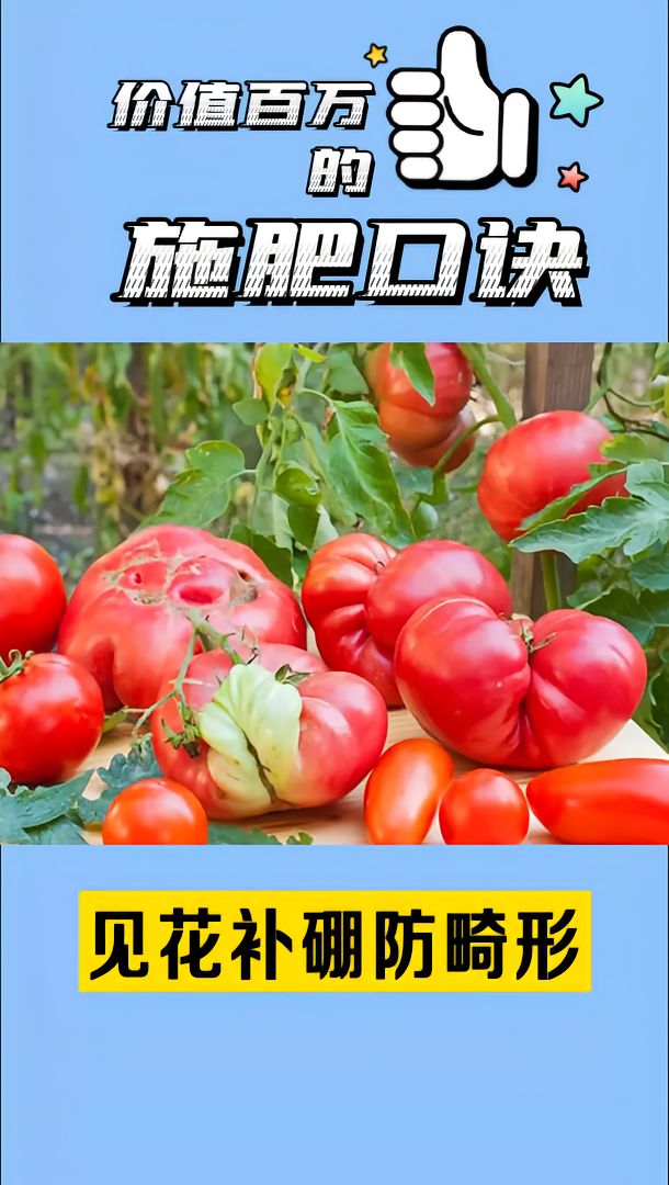 https://static.ixuenong.com/pxn/uploads/prod/thirdfile/2025/05/8777206c42e75a401d7dd9cf6dfcb6fa.jpg