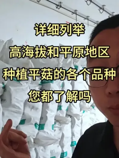 详细讲讲高海拔基地和平原地区一般都用什么品种的平菇菌种。#平菇菌种 #食用菌栽培种 ##栽培种 #平菇种植