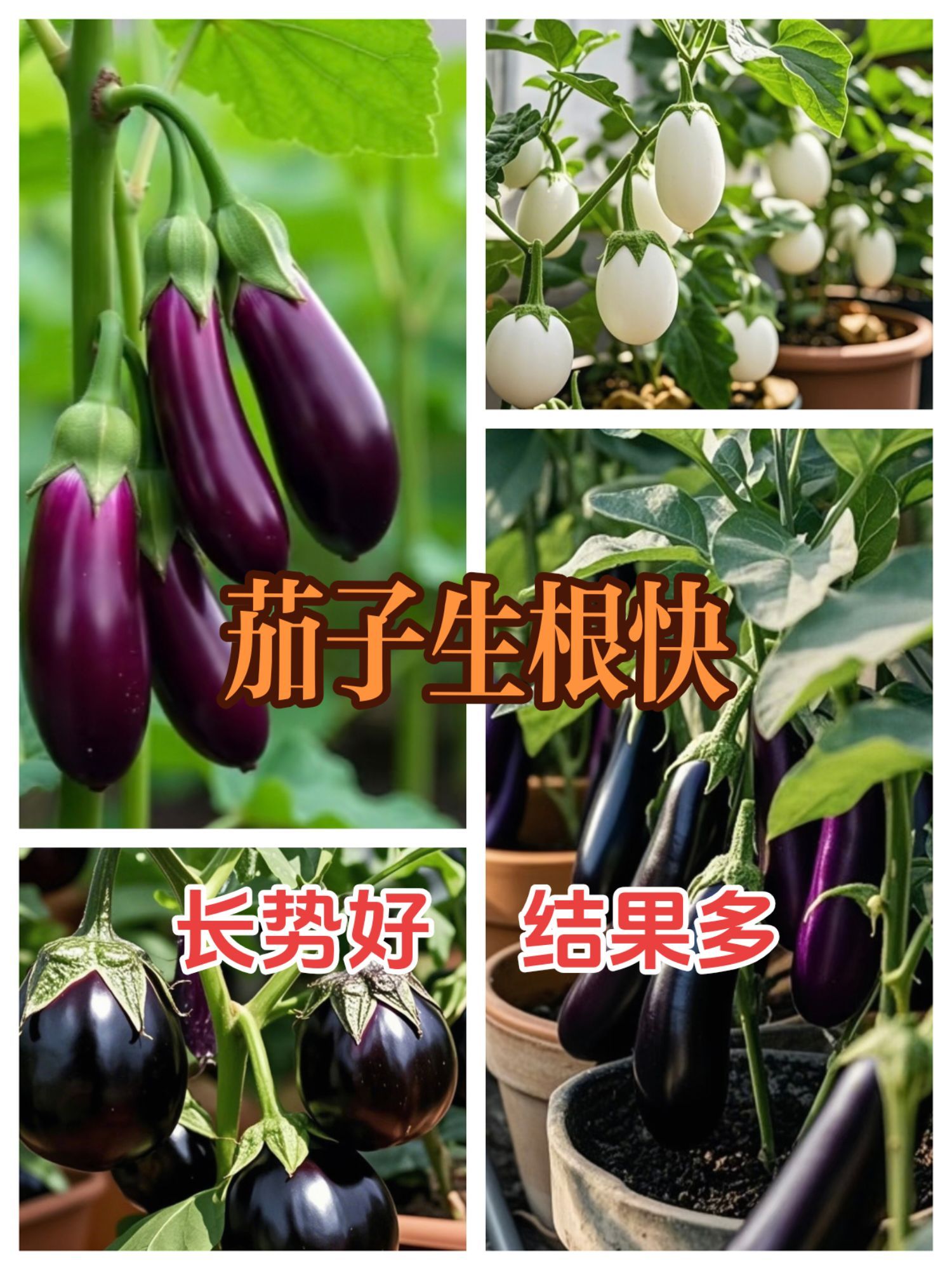 https://static.ixuenong.com/pxn/uploads/prod/thirdfile/2025/05/887fcfa7fff50faaef57ea1bb0e1ea3a.jpg