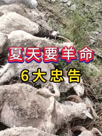 Ҫ6 # #ũ崴ҵֳ #ũֳ
