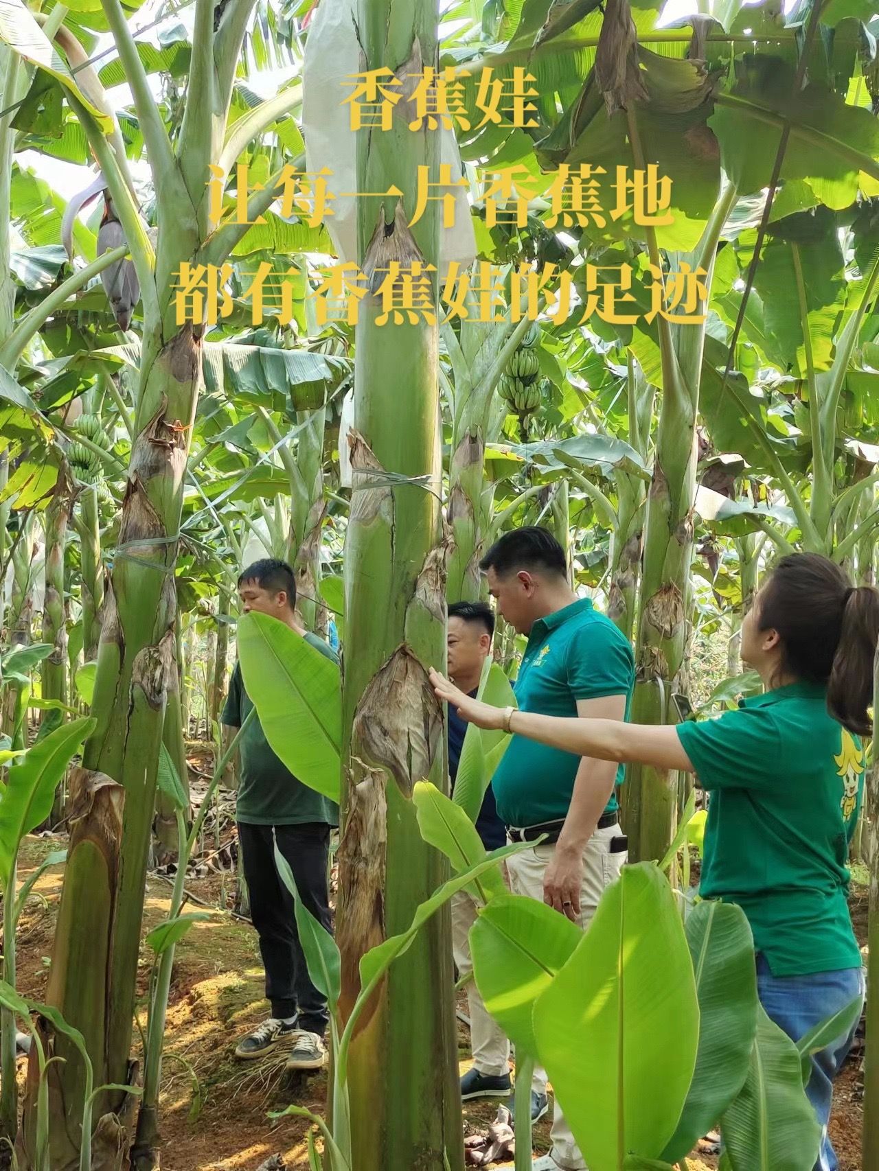 https://static.ixuenong.com/pxn/uploads/prod/thirdfile/2025/05/89c0b4a9d3e8c287a33a5f23671c6399.jpg