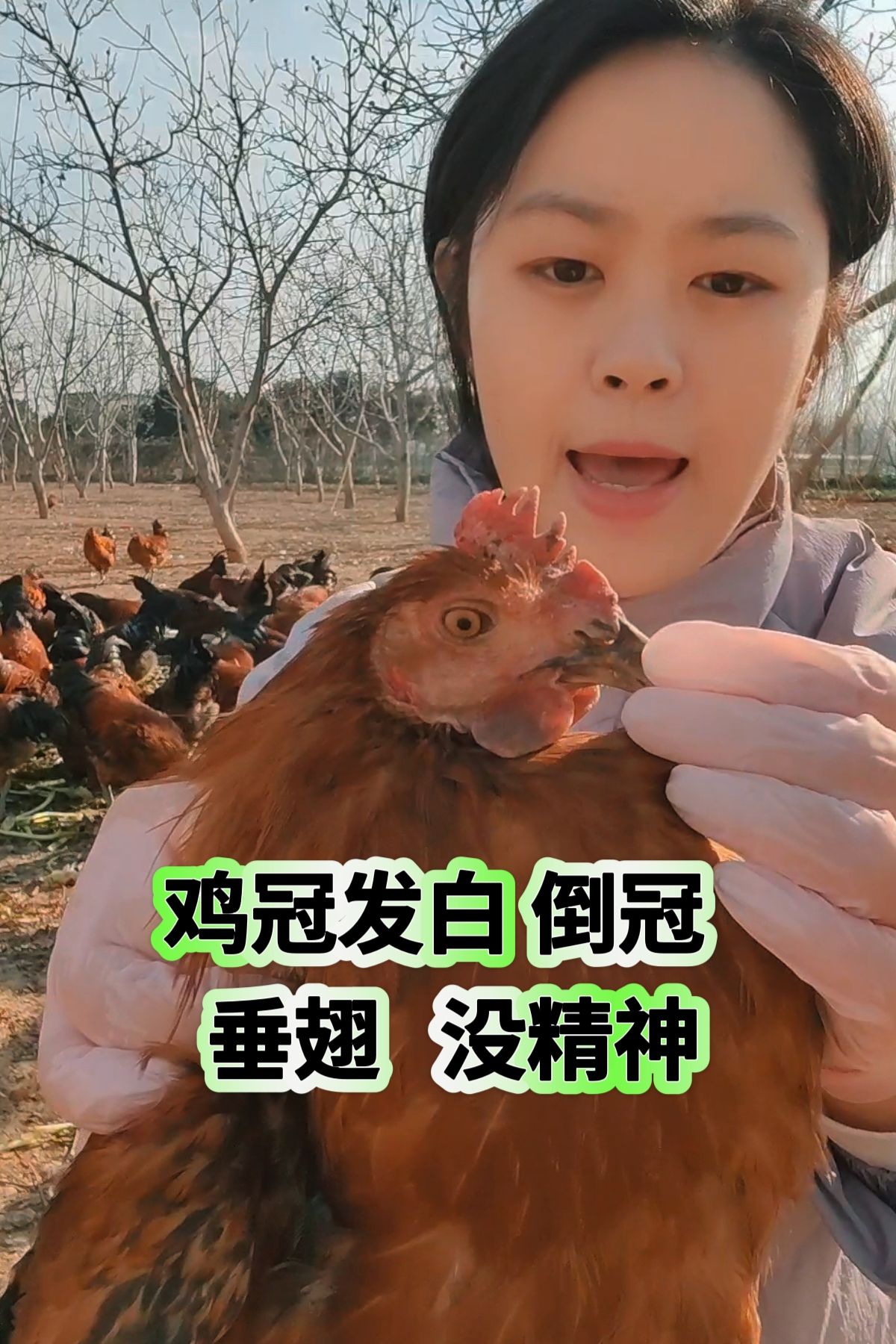 https://static.ixuenong.com/pxn/uploads/prod/thirdfile/2025/05/8e59be99895570b52242ef5b170b6c50.jpg