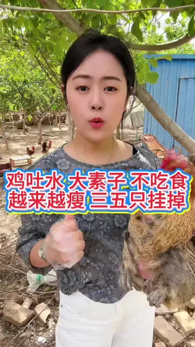 #科学养鸡 #服务三农支持三农 #鸡鸭鹅养殖 #抖音养鸡人 #养鸡人