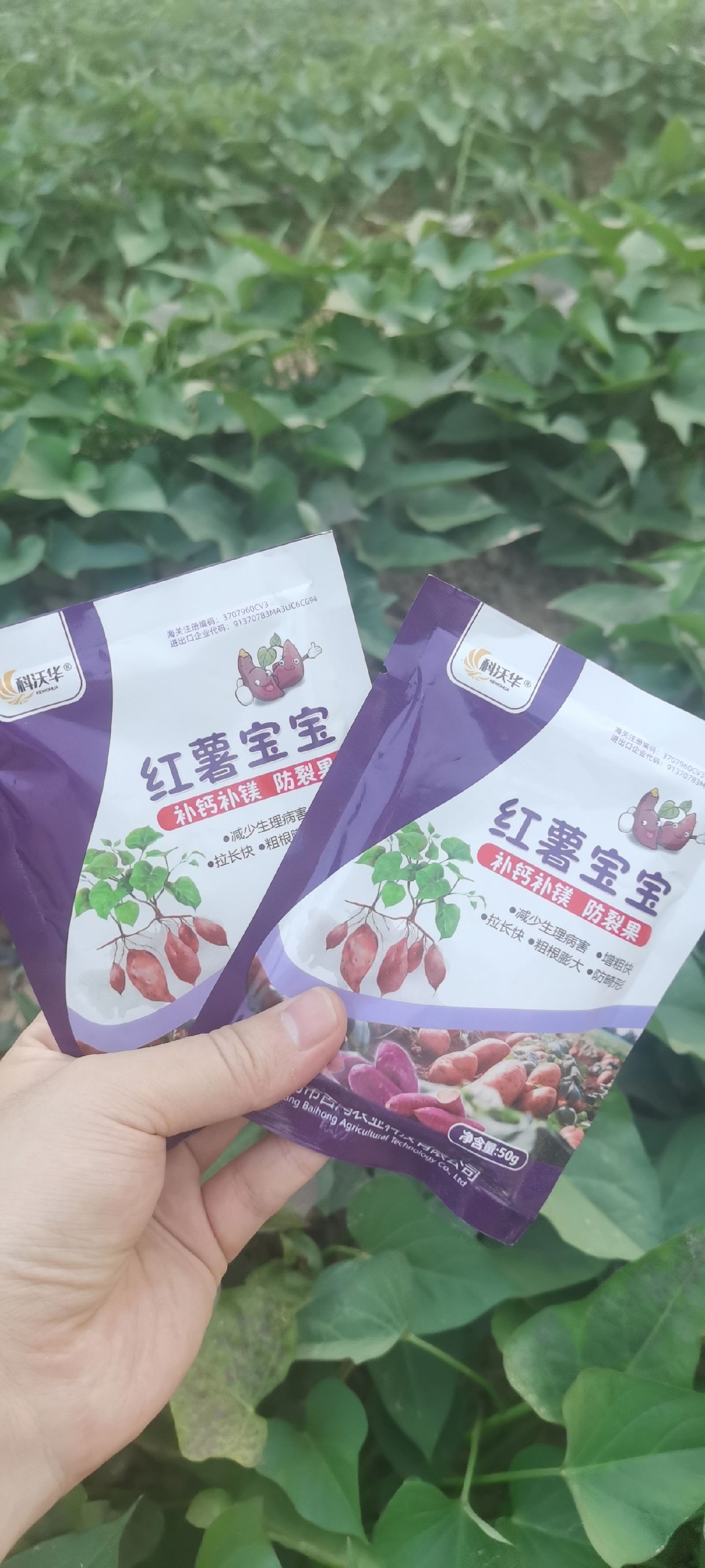 https://static.ixuenong.com/pxn/uploads/prod/thirdfile/2025/05/8ff7ecc80ff2b7d244ecd2788e2b70a7.jpg