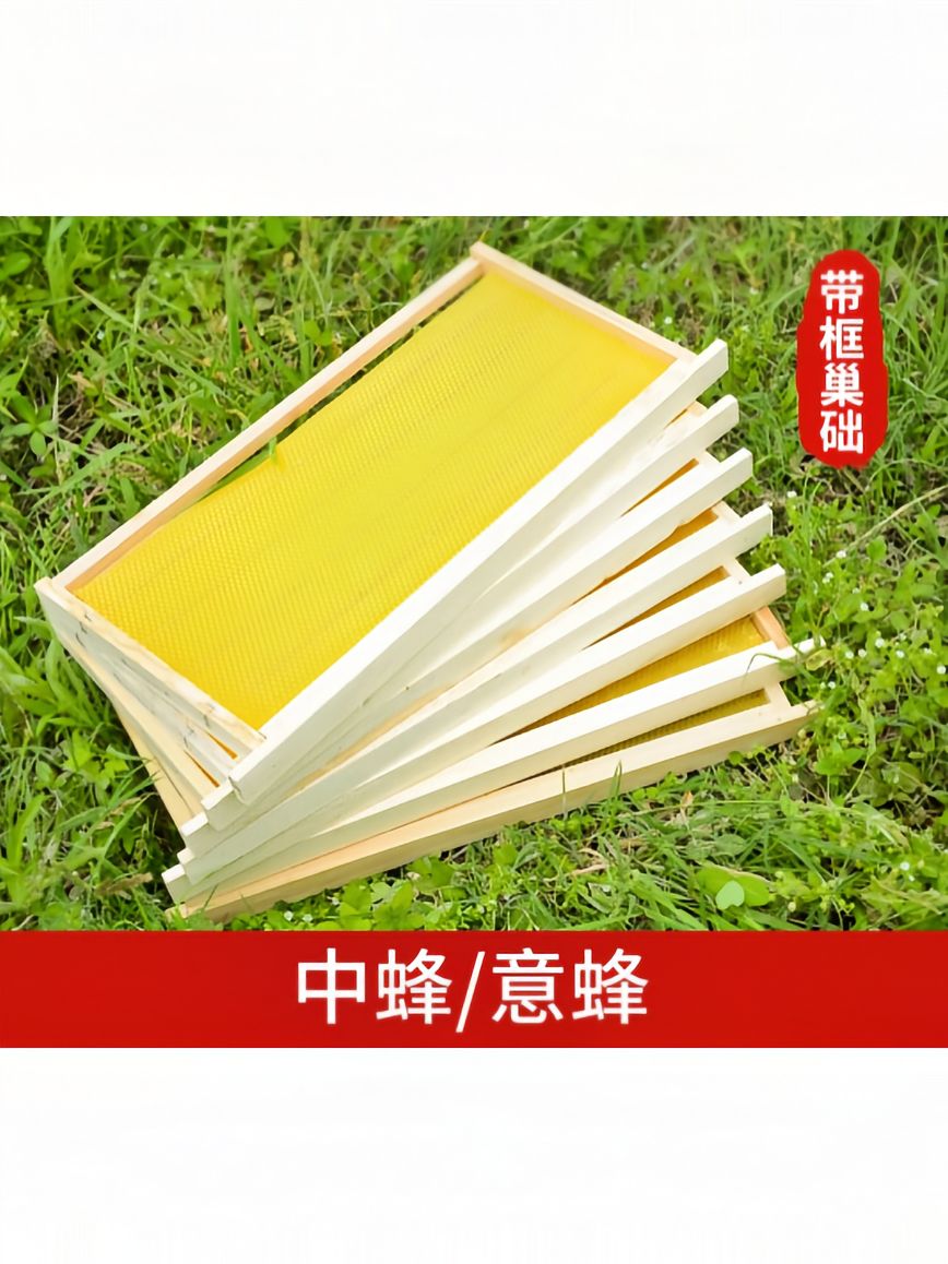 https://static.ixuenong.com/pxn/uploads/prod/thirdfile/2025/05/905ce6653bfa2d3c49a3b4fd6b700d05.jpg