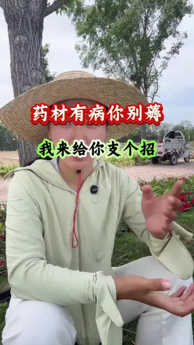 药材种植 药材有病你别薅我来给你支个招 #药材种植 #药材管理 #药材高产