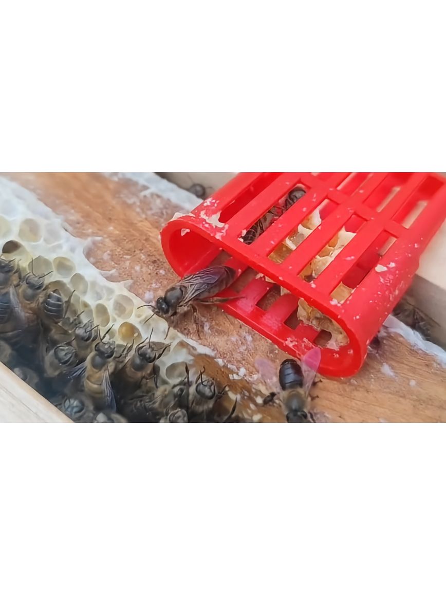 https://static.ixuenong.com/pxn/uploads/prod/thirdfile/2025/05/91c5cbc7fab2073f6cb448b6b612a73b.jpg