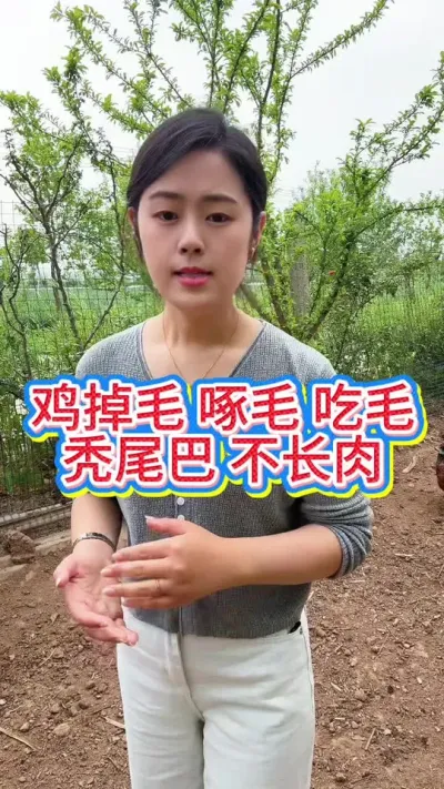 #科学养鸡 #服务三农支持三农 #养鸡人 #鸡鸭鹅养殖 #散养土鸡